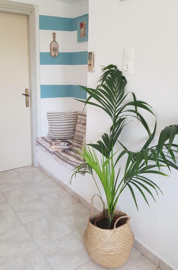 Mesogitonia House Apartment Zakros Exterior photo
